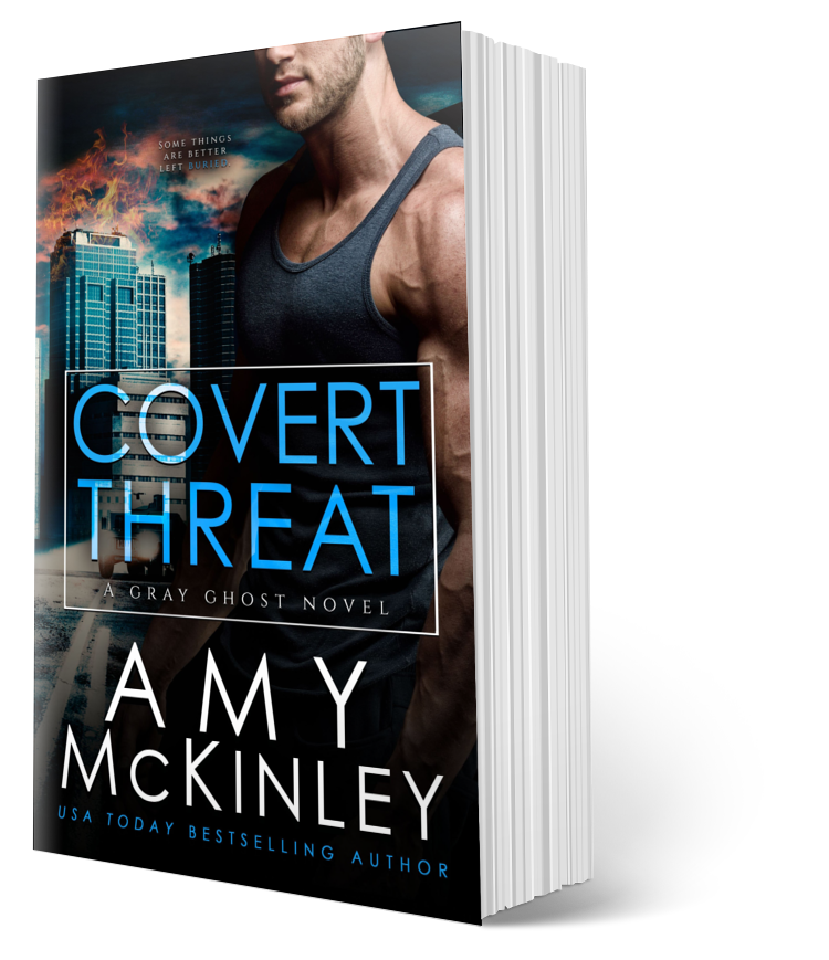 military romance - romantic suspense - gray ghost series