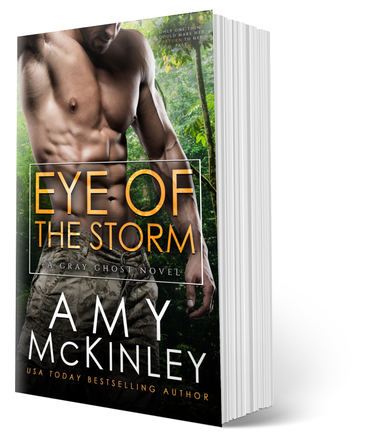 military romance - romantic suspense - gray ghost series