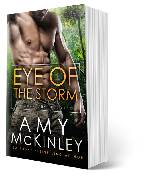 military romance - romantic suspense - gray ghost series